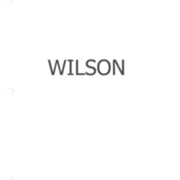 wilson.pdf